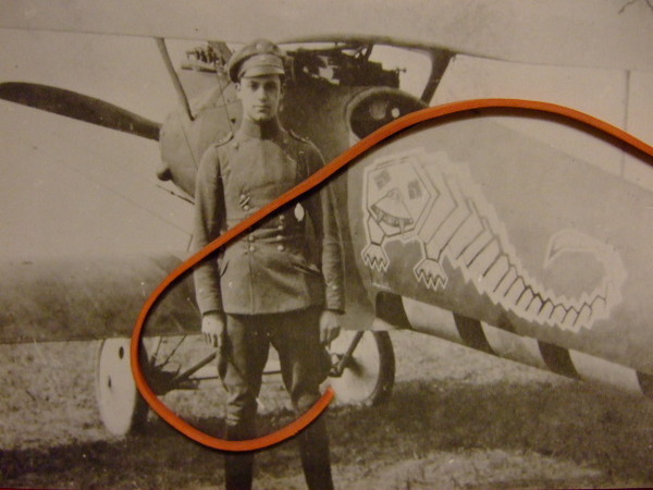 jasta29d.jpg